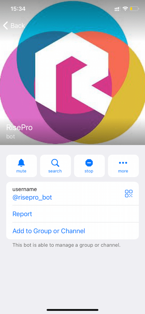 The RisePro Telegram channel: Profile screenshot
