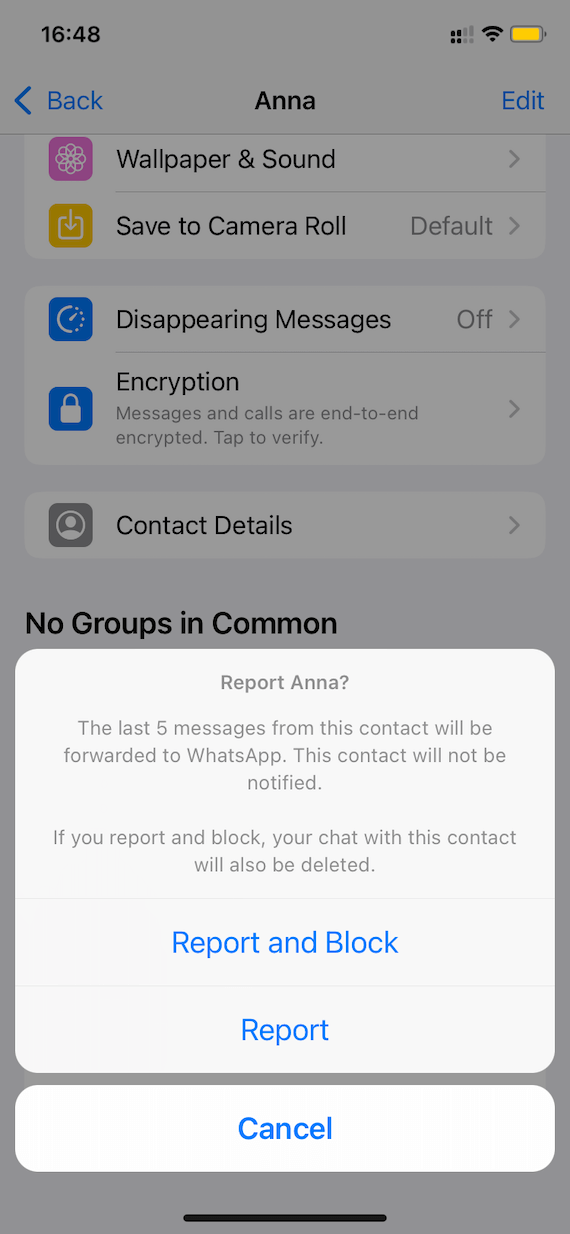 How to block a scammer on Whatsapp: Screenshot 2