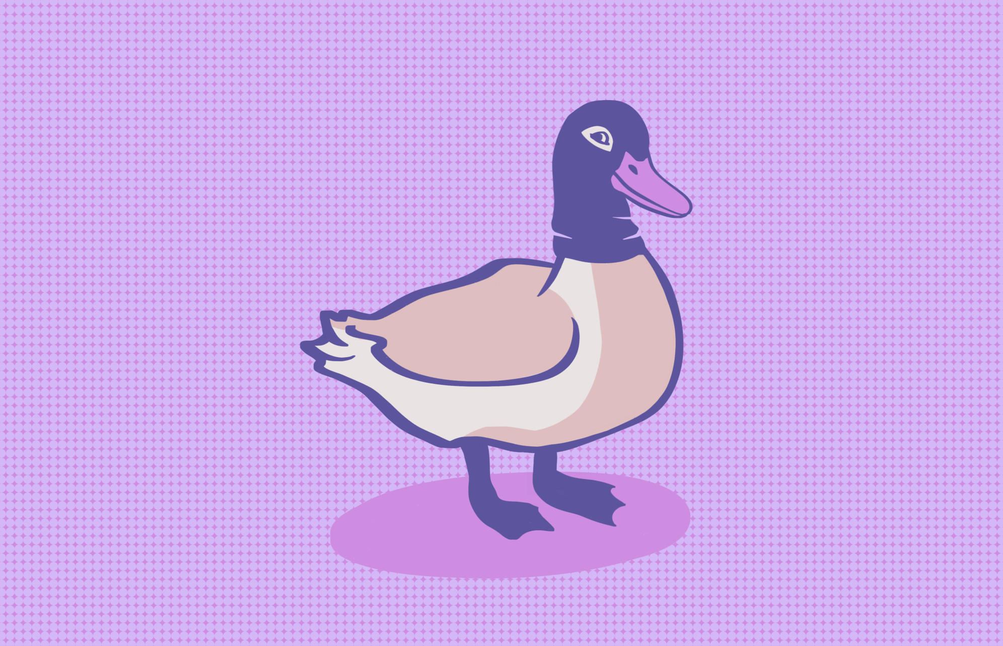 DuckTail malware targets Facebook and TikTok business accounts