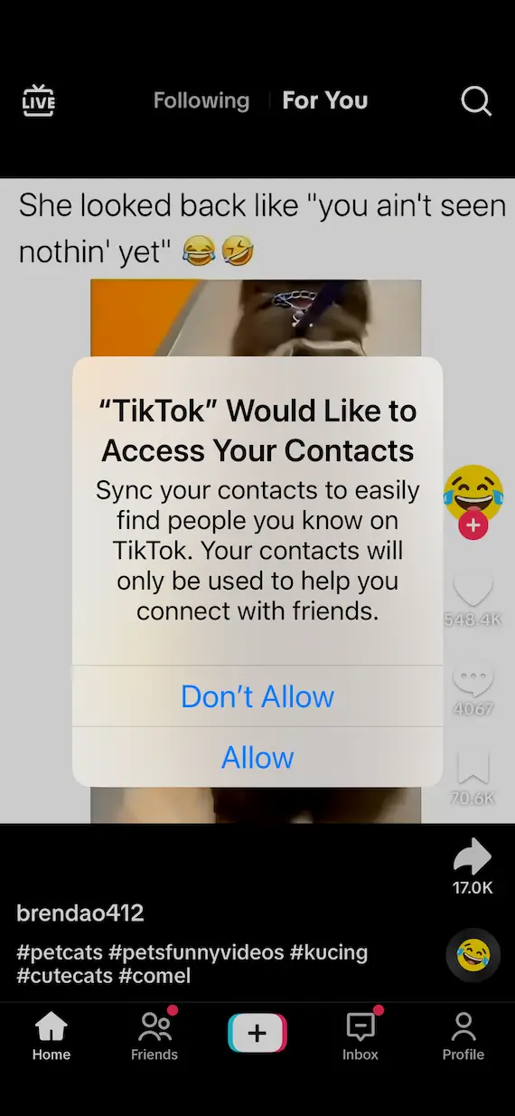 A screenshot of TikTok asking to access Contacts.