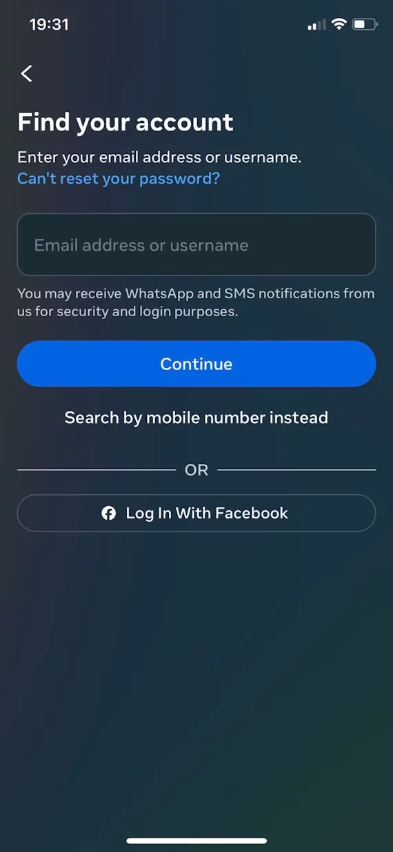A screenshot of Instagram on iOS iPhone showing the password reset page.