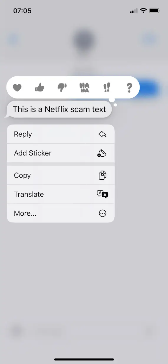 An image showing how to report a Netflix scam text.