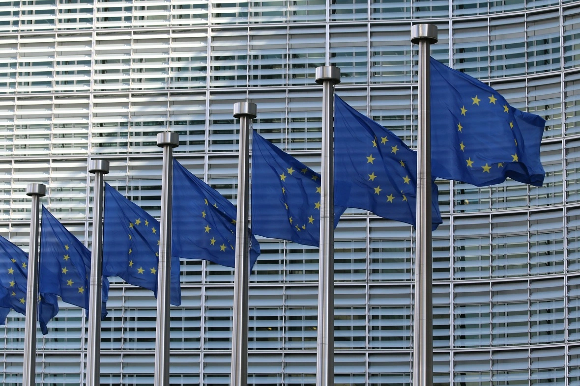 An image of EU parliament flags. 