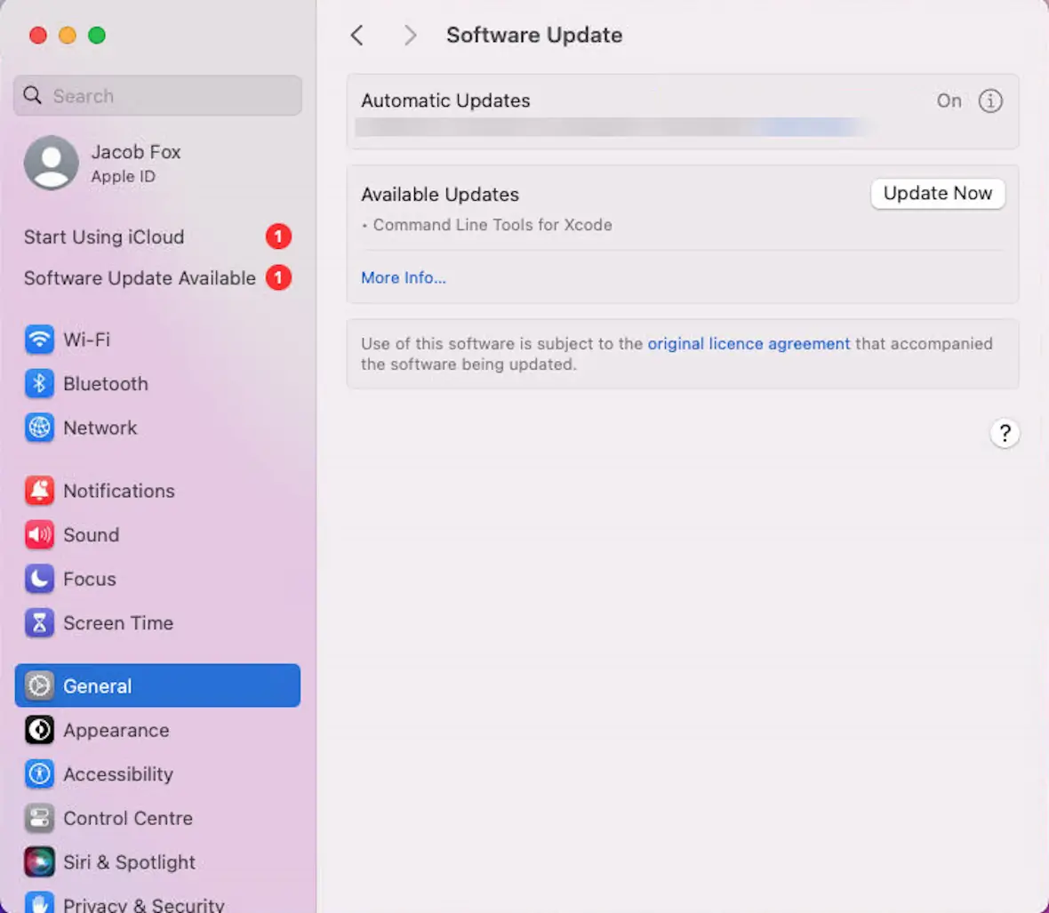 Screenshot of the Software Update screen on macOS.