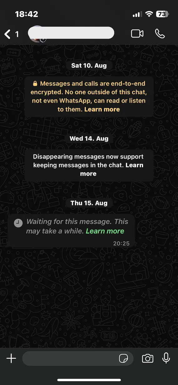 A screenshot showing an example of disappearing messages on WhatsApp.