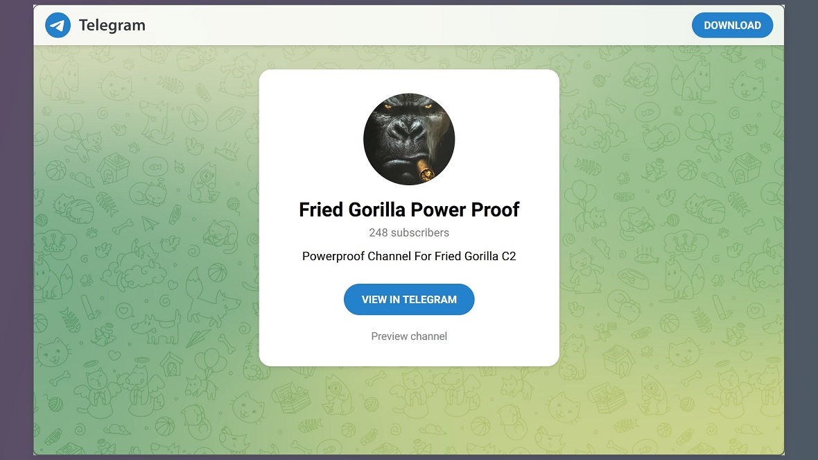 A screenshot of the Telegram Power Proof channel of a Gorilla Botnet user.