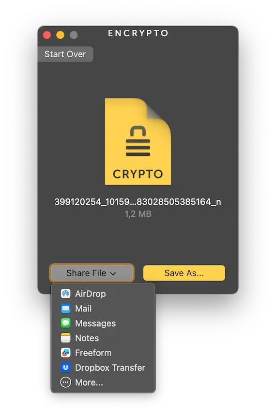 A screenshot of the Share File options on Encrypto.