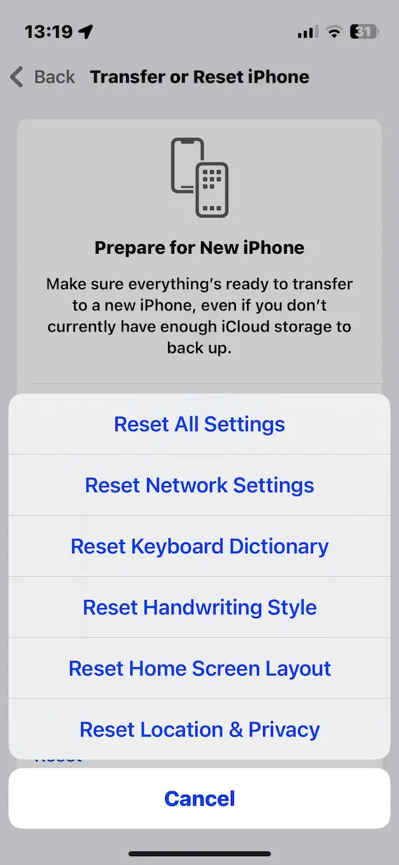 A screenshot showing the iOS options in the Transfer or Reset iPhone screen, including different options for resetting an iPhone.