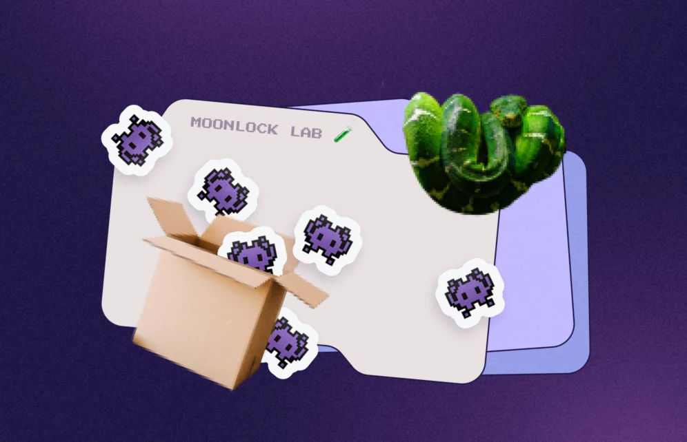 Malicious package distributed through the PyPI registry (Header image)