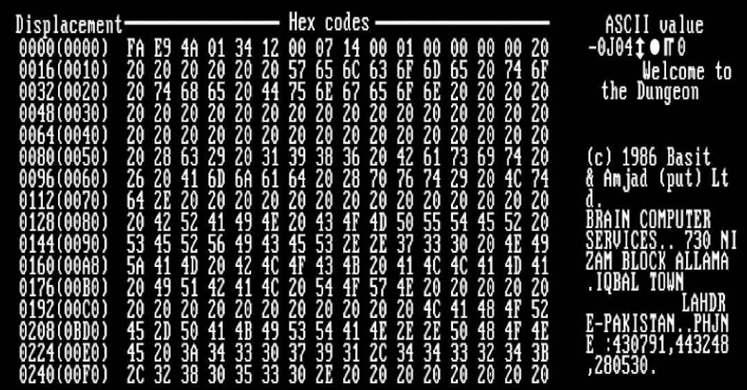 A screenshot of the Brain virus hex codes.