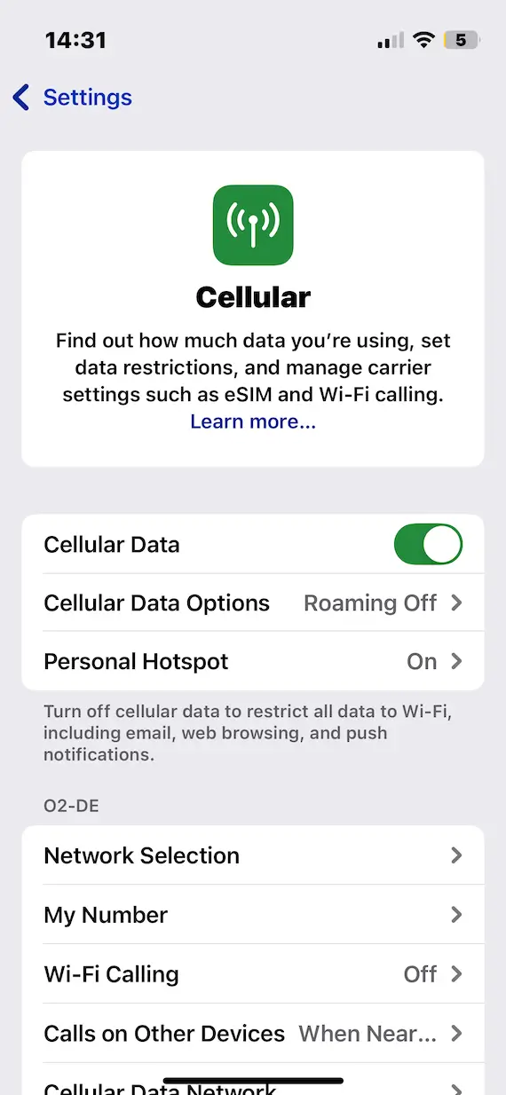 iOS cellular setting screenshot