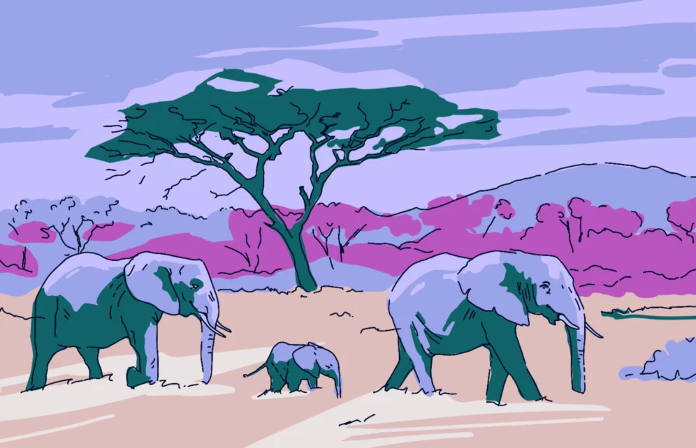 Safari vulnerability allows hackers to steal your credentials (Header image)