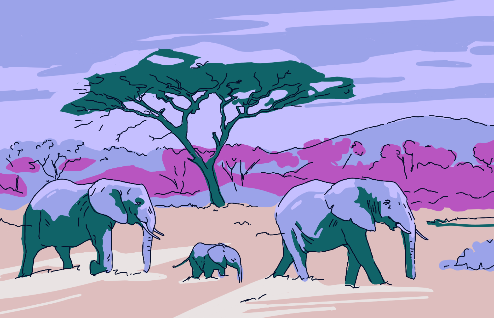 Safari vulnerability allows hackers to steal your credentials (Header image)