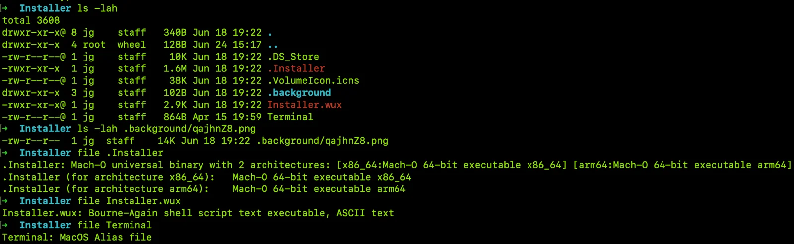 A screenshot showing the AMOS Installer code.