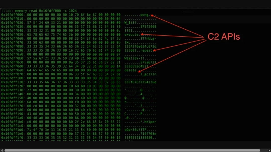 A screenshot of AMOS code with C2 APIs highlighted.