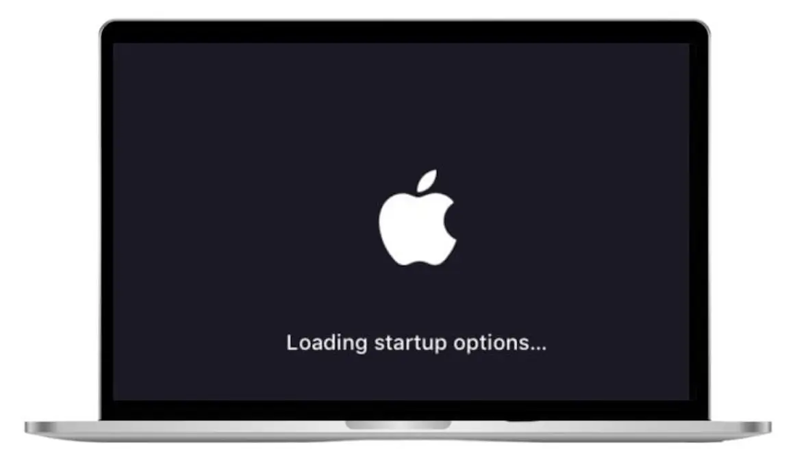 An image depicting a Mac loading startup options.