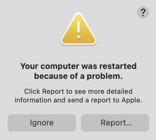 A screenshot of the "Your computer was restarted-because of a problem" error message in macOS.