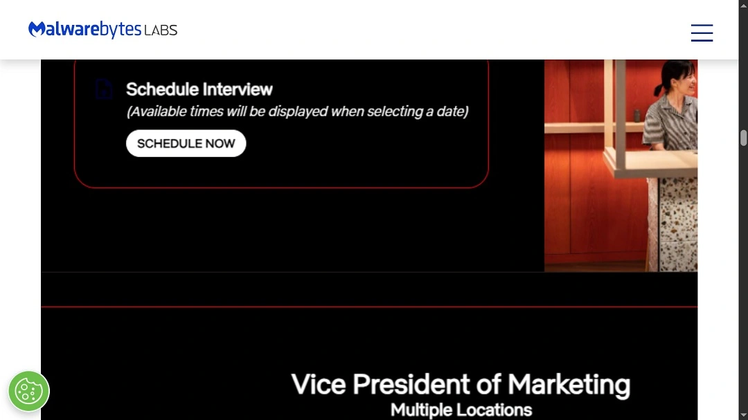 A screenshot of a fake site meant to impersonate Netflix's HR hub.