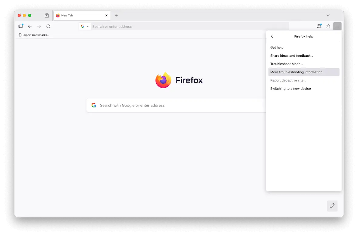 Screenshot of the Firefox settings menu showing the option to select "More Troubleshooting Information."