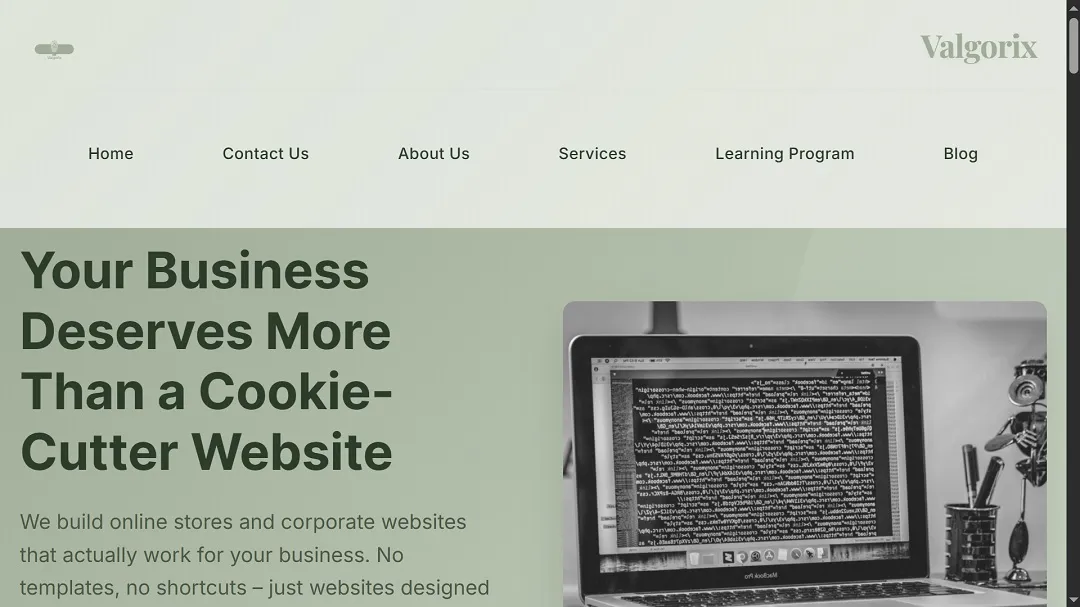 A screenshot of the fake site impersonating the DynamicLake app, now showing a generic business template.