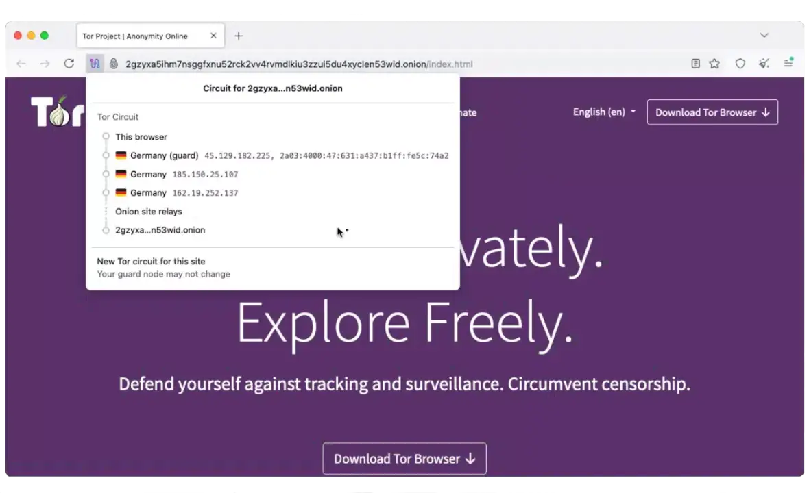 An image of a Tor connection on a .onion site.