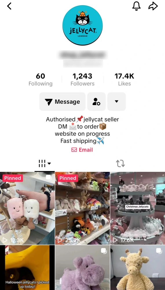 Screenshot of a fake Jellycat store on TikTok Shop.