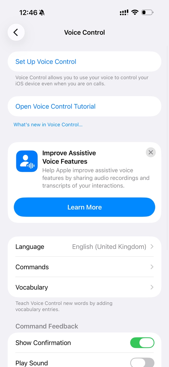 iPhone-Voice-Control-voice-command-assistant-feature-setup