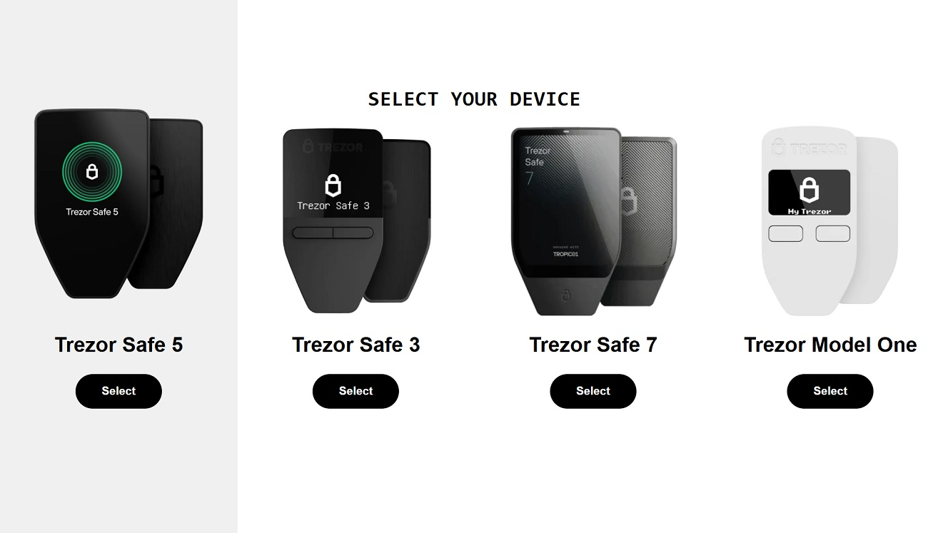 A screenshot of a web loader designed to steal your password.