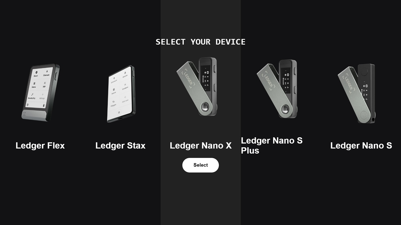 A web loader used by this stealer to try to phish your seed phrases and passwords.