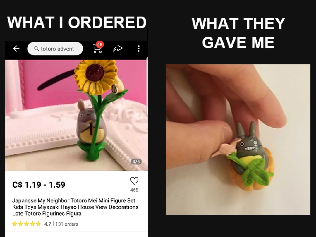 Screenshot showing "What I Ordered" vs. "What They Gave Me" to show an AliExpress different item delivered scam.