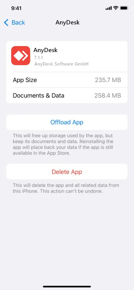 The AnyDesk screen in iPhone Settings.