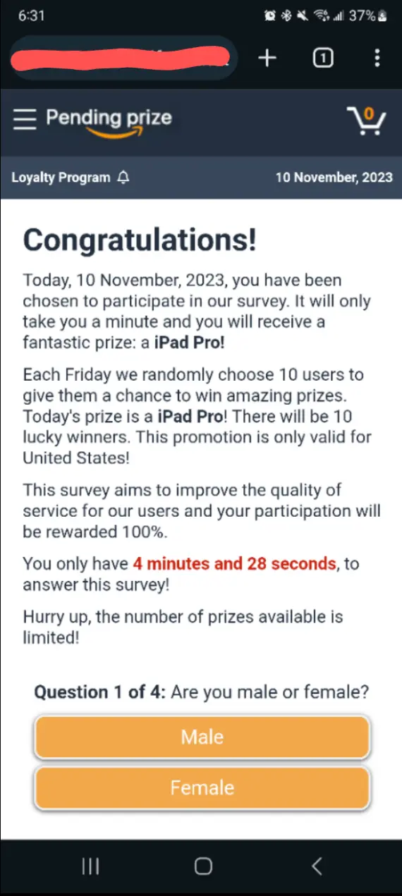 Fake Amazon survey scam
