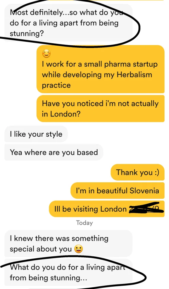 A screenshot of messages exchanged with a Bumble bot.