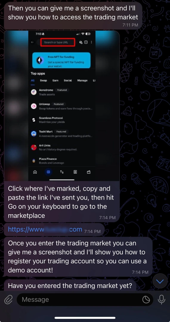 Screenshot of messages in a Bumble investment scam.