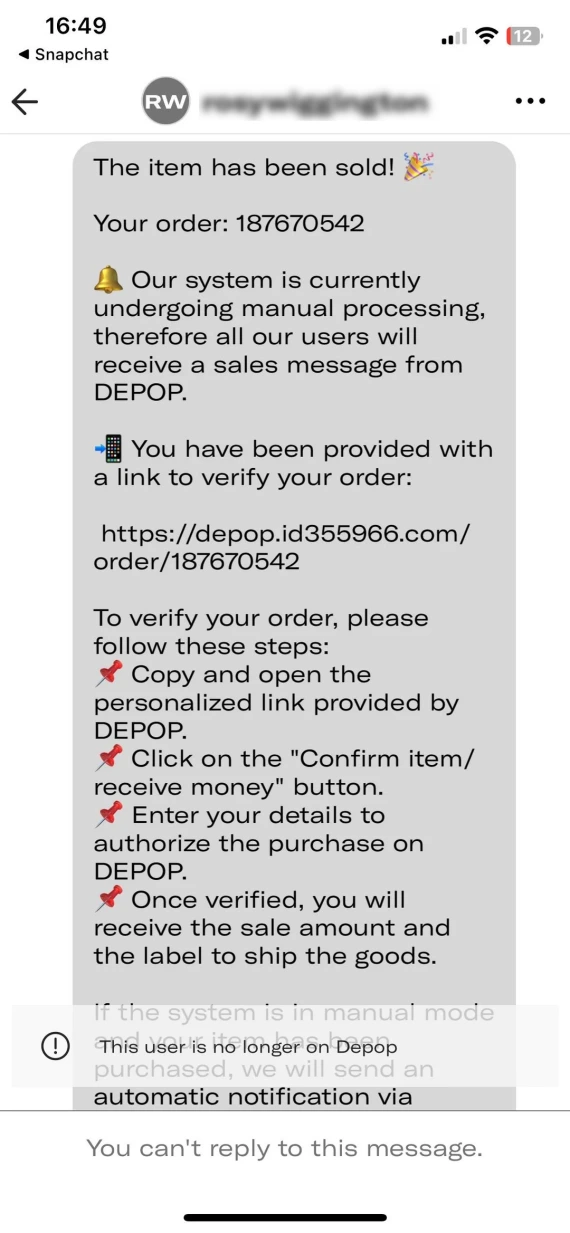 Depop phishing message and link.